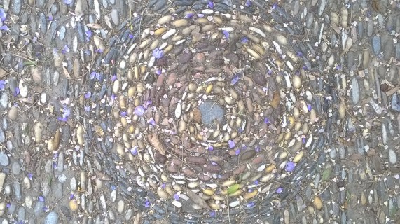 WP_20160402_10_36_22_Pro