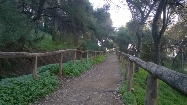 wp_20161209_13_30_27_pro